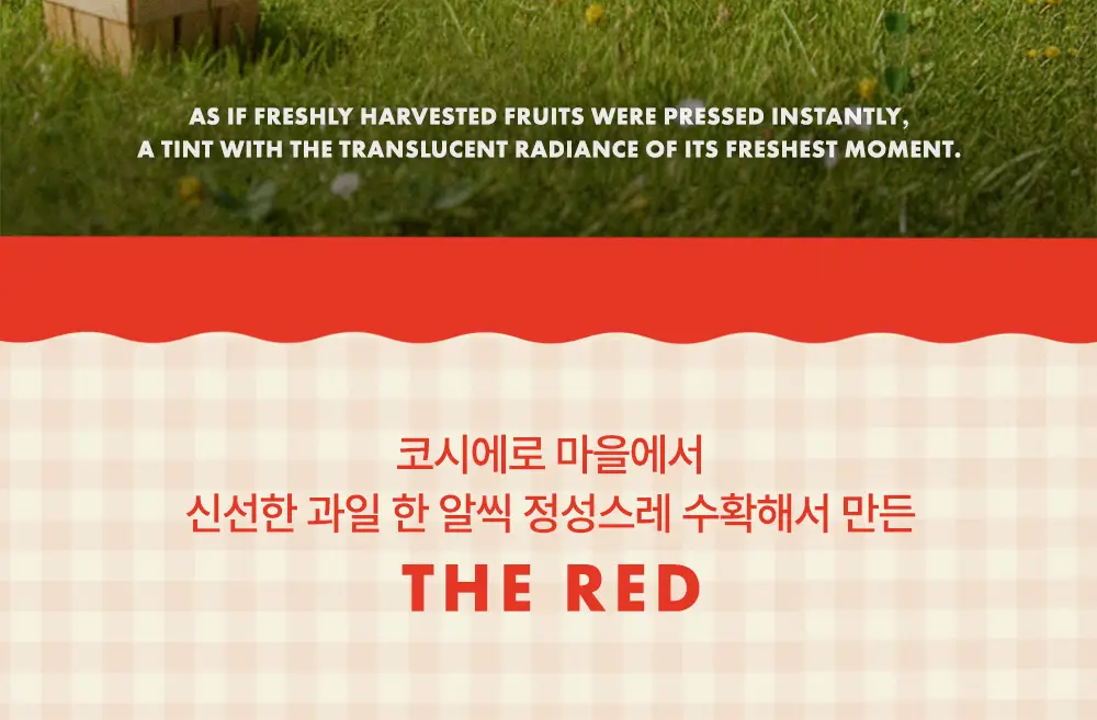 [세민PICK/100%증정이벤트] 코시에로 젤러시 미닛 플럼퍼 상세페이지 3